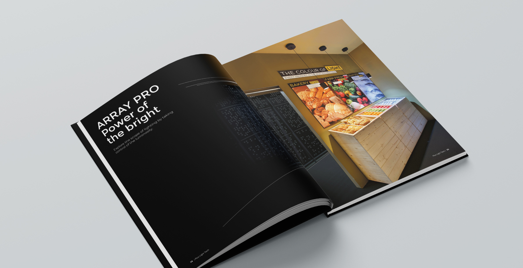 PLUS-catalog-10